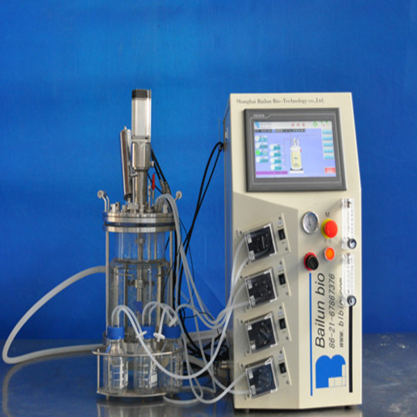 Лабораторен биореактор със стъклен съд с тотален обем 10 литра.Модел  BLBIO-10GJGG. 