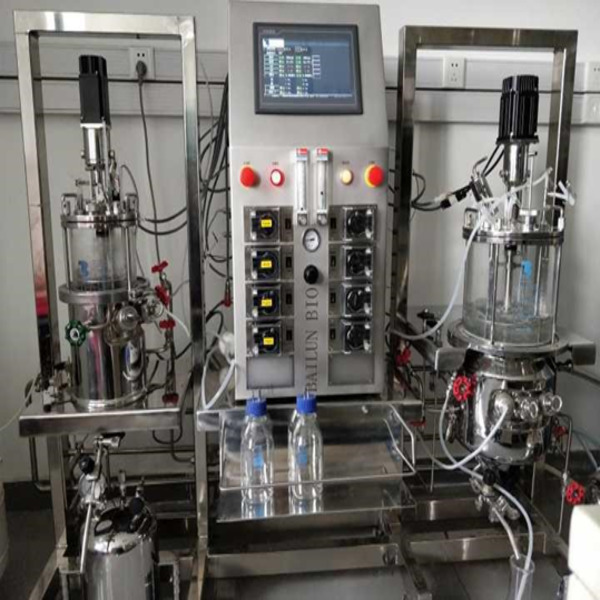 Паралелен стерилизируем на място биореактор с два стъклени съда с тотален обем 10 литра и 15 литра. Модел BLBIO-1015GCAV-2